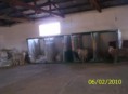 /album/trabajo-de-inseminacion-/imagen-024-jpg/